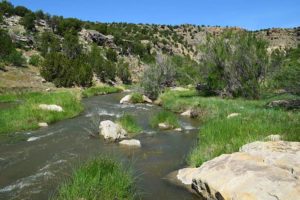 Walsenburg Real Estate