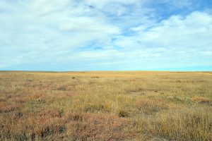 CRP Land