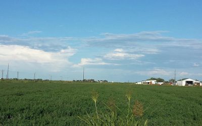 Fertile Farm and Hunting Ranch for Sale in Southeast Colorado