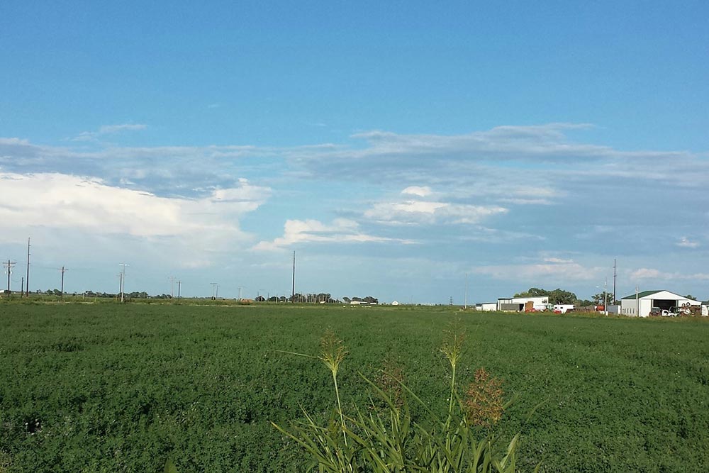 Fertile Farm and Hunting Ranch for Sale in Southeast Colorado