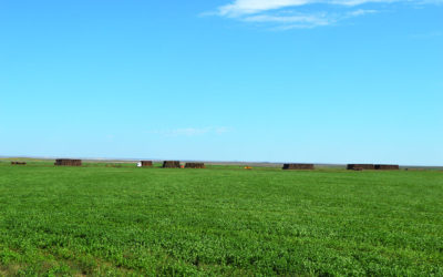 Sterrett Irrigated Farms for Sale – 7334 AC in OK Panhandle