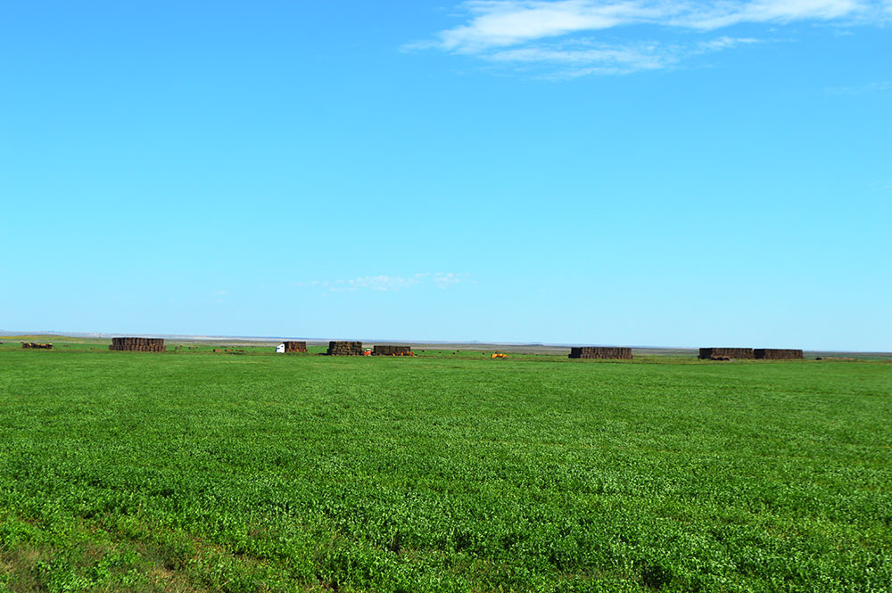 Sterrett Irrigated Farms for Sale – 7334 AC in OK Panhandle