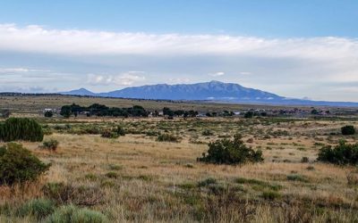 Farm and Land Auctions in SE Colorado – When to Auction vs. List