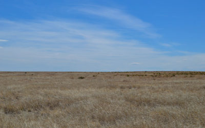 320 AC Colorado Farmland in Kiowa County – Barley, Sorghum, Wheat