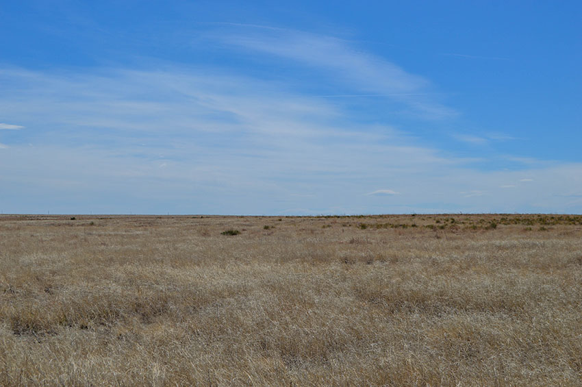 320 AC Colorado Farmland in Kiowa County – Barley, Sorghum, Wheat