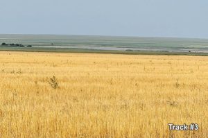 Farmland for Sale in Kiowa County