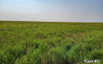 Dry Farmland for Sale in Kiowa County (or CRP) – 5 Tracts