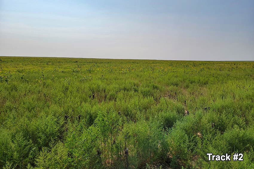 Farmland for Sale in Kiowa County