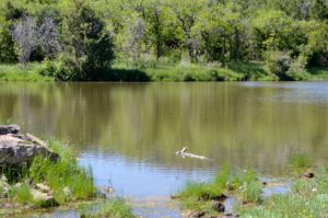 Ranch for Sale