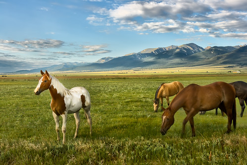 Van Horn Ranch for Sale in Huerfano County Colorado