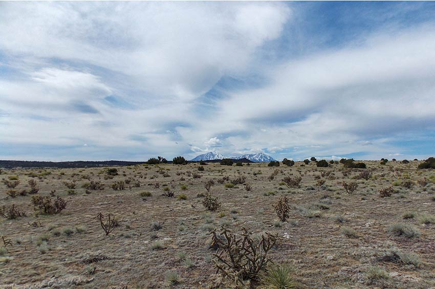 Walsenburg Real Estate for Sale