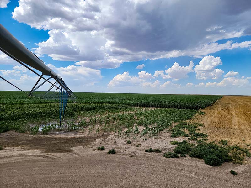 Productive Irrigated Farms for Sale – Colorado/Kansas Border