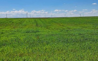 Farm or Ranch on 480 Acres Elbert County Land for Sale