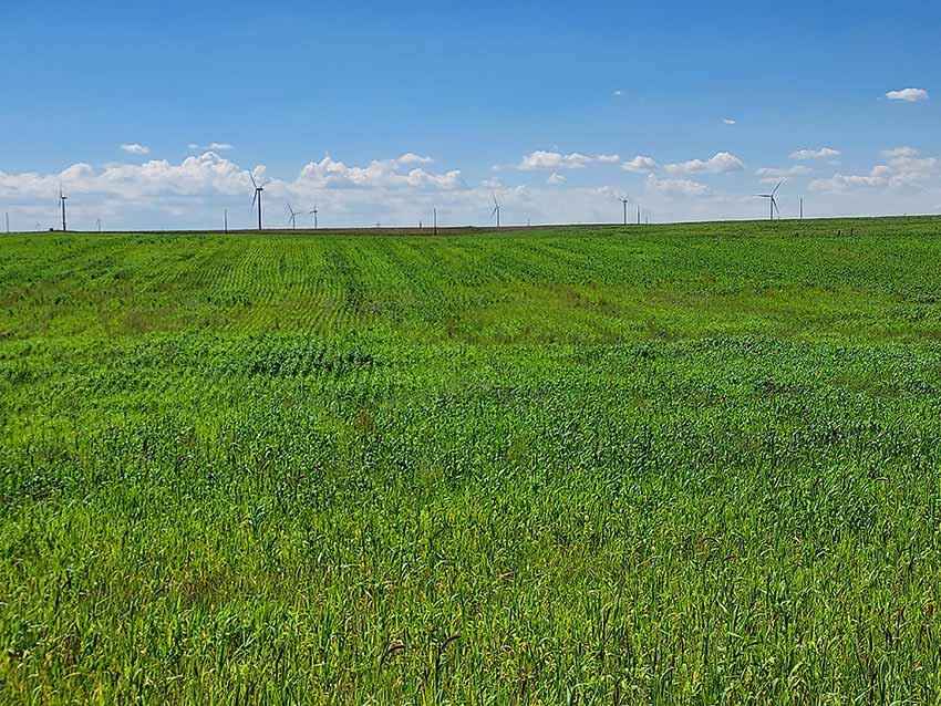 Farm or Ranch on 480 Acres Elbert County Land for Sale