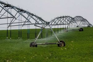 SE Colorado farms