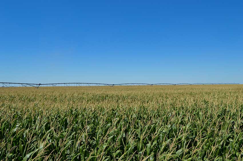 SE Colorado farms