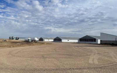 Pig Production in Bent County Colorado – Sow Farm for Sale