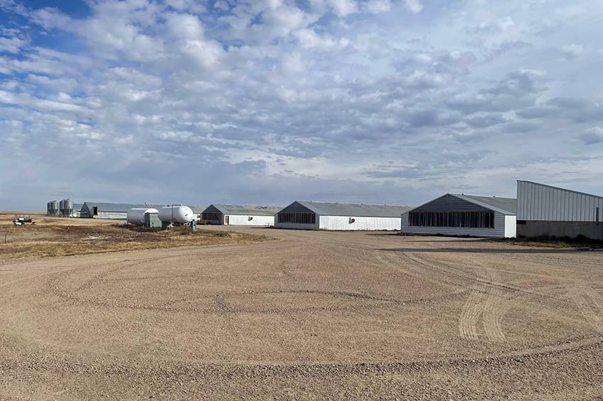 Pig Production in Bent County Colorado – Sow Farm for Sale