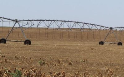 Absolute Land Auction Soon: Over 1000 Acres in Texas County OK