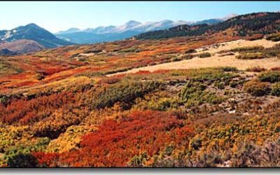 Colorful Autumn Trips – Lamar to Southern Colorado