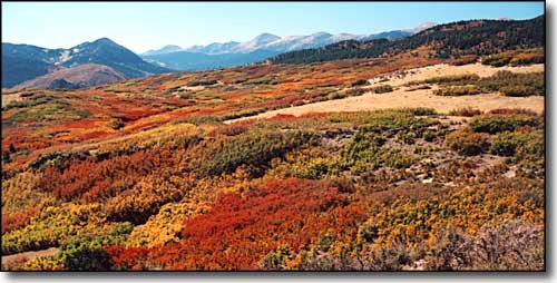 Colorful Autumn Trips – Lamar to Southern Colorado