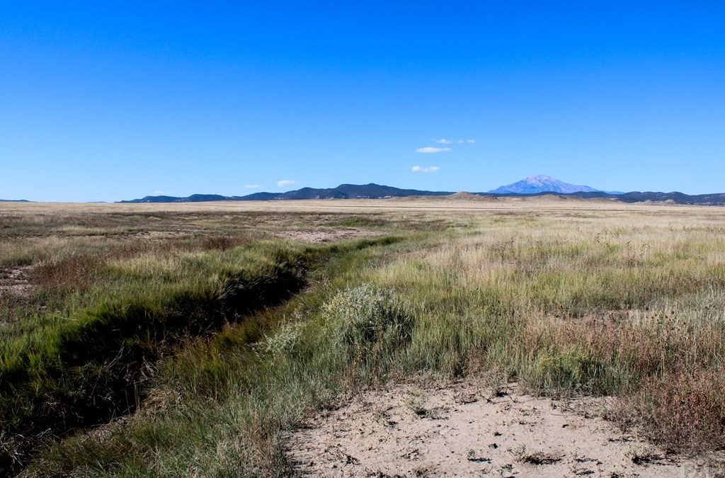 Invest in Boone Colorado Acreage near Pueblo