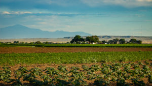 Colorado Farm Ready to Sell