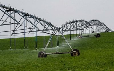 Lush Irrigated OK Farmland for Sale at So Colorado Border