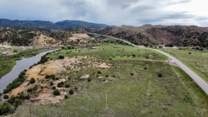 Land Auctions