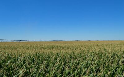 Tis the Season to Invest: SE Colorado Farm in Holly CO