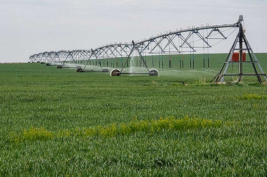 Farm Investment: Oklahoma Income Crop Farm for Sale