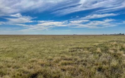 Thompson CRP Land Auction