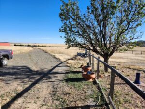 Beulah property for sale